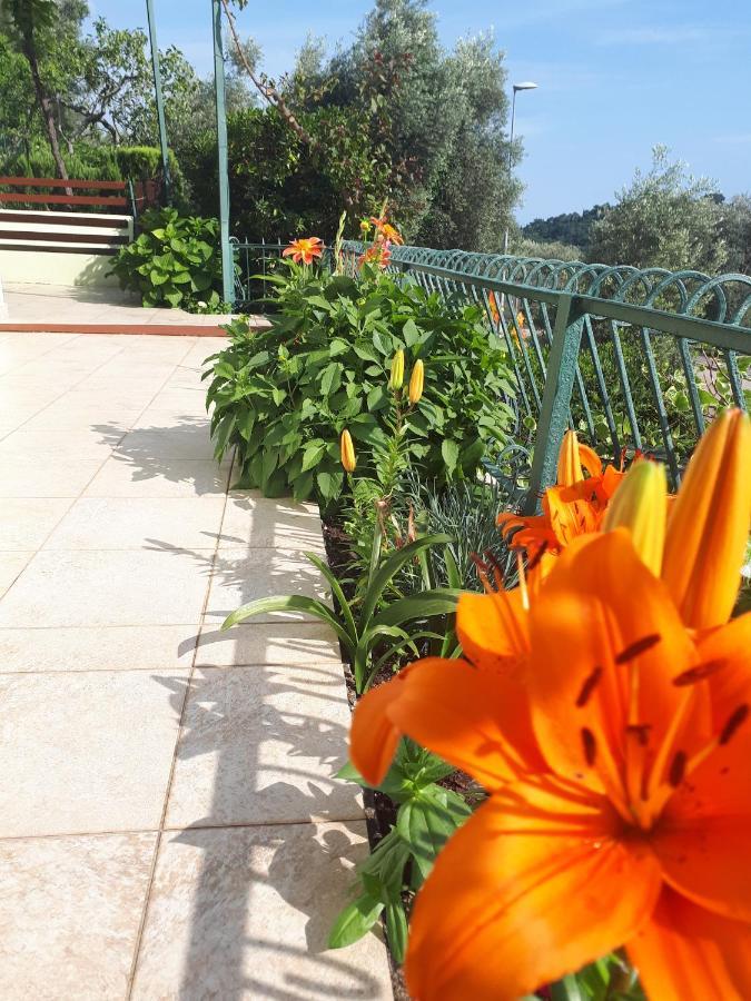 Apartments Simo Петровац Экстерьер фото